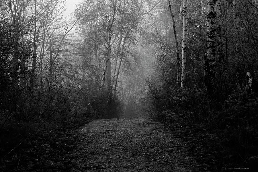 The Path Photograph by Joseph Noonan