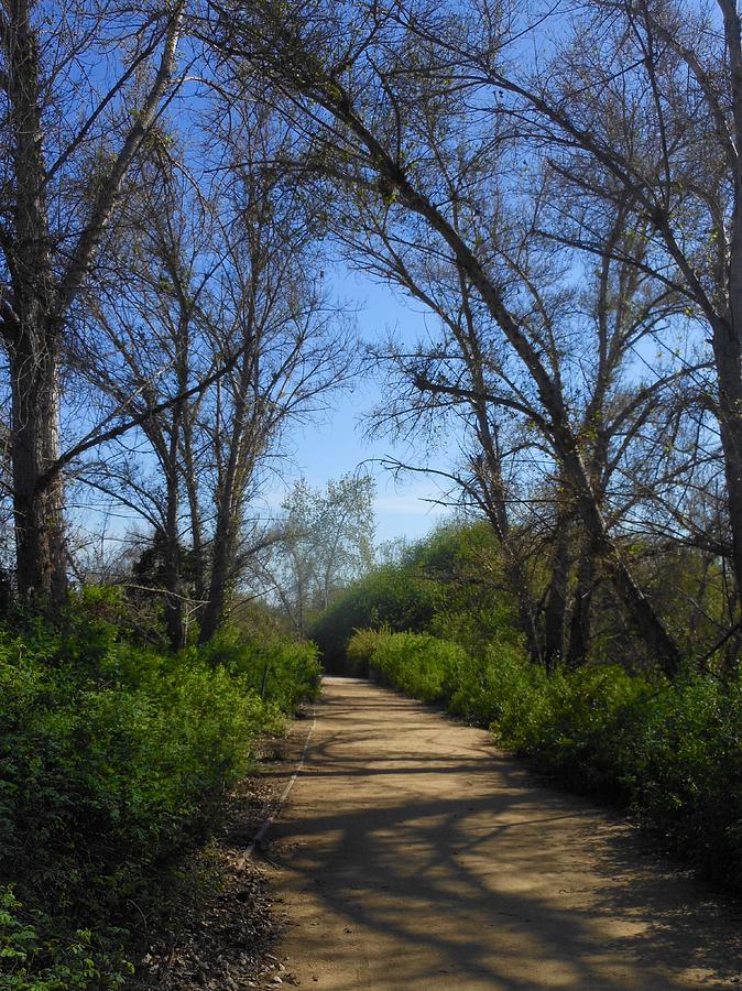 The Path Less Traveled by My Lens and Eye - Judy Mullan - The Path Less Traveled by My Lens and Eye - Judy Mullan -