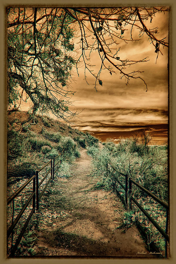 The Path Photograph by Michael McKenney