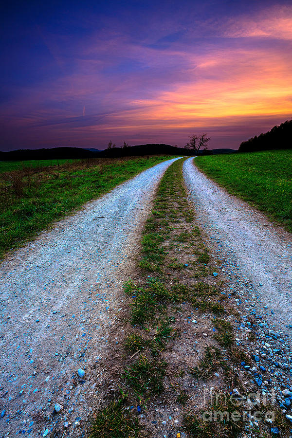 The path of life Photograph by John Noe - Fine Art America