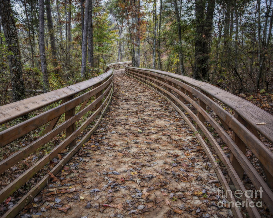 The Path That Leads Photograph by Ken Johnson