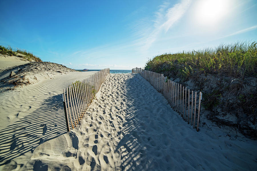 The Path to Second Beach Newport, RI Photograph by Toby McGuire