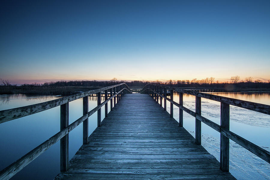 The Path to Spring At Crosswinds Marsh Photograph by Brian Kurtz