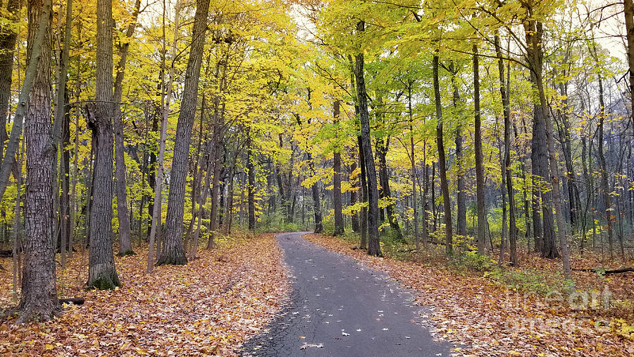 Fall Photograph - The Pathway to Fall by Ricky L Jones Fall Photograph - The Pathway to Fall by Ricky L Jones