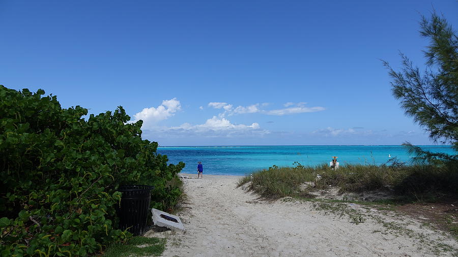 The Pathway to Grace Bay Photograph by Ed Balch - Fine Art America