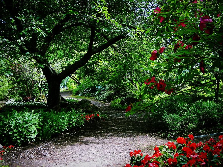 The Pathway To Somewhere by Max DeBeeson The Pathway To Somewhere by Max DeBeeson