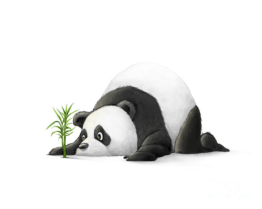 Black And White Digital Art - The Patient Panda by Michael Ciccotello