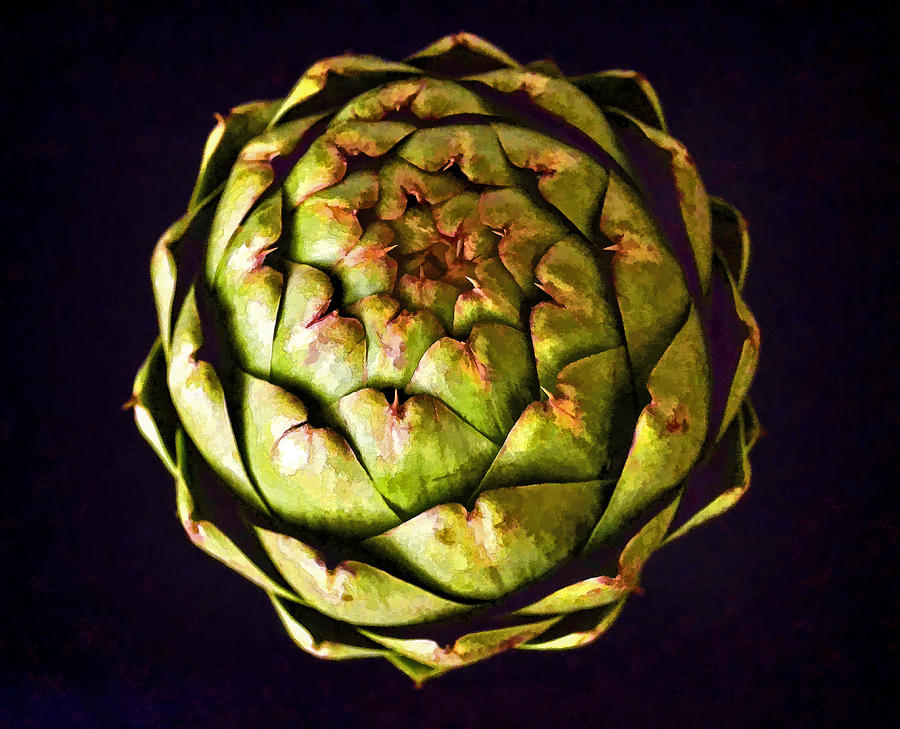 The Patterns Of The Artichoke Photograph by Sandi OReilly