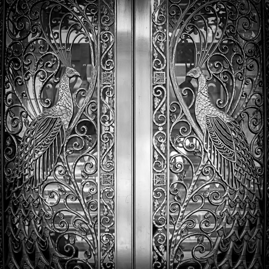The Peacock Door Photograph by Howard Salmon