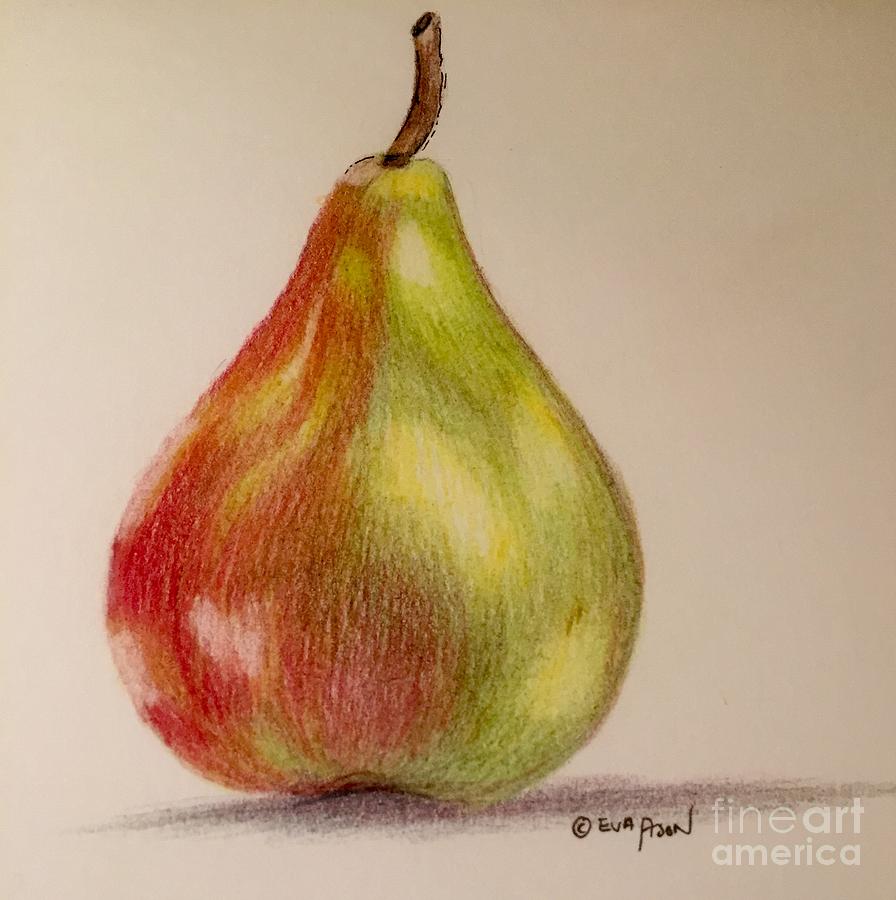 The Pear Drawing by Eva Ason