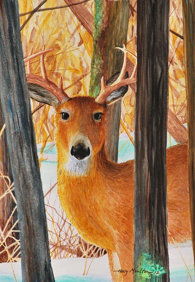 The Peeking Buck Painting by Harry Moulton