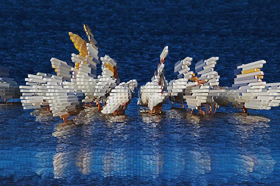 The Pelicans Photograph by Michiale Schneider