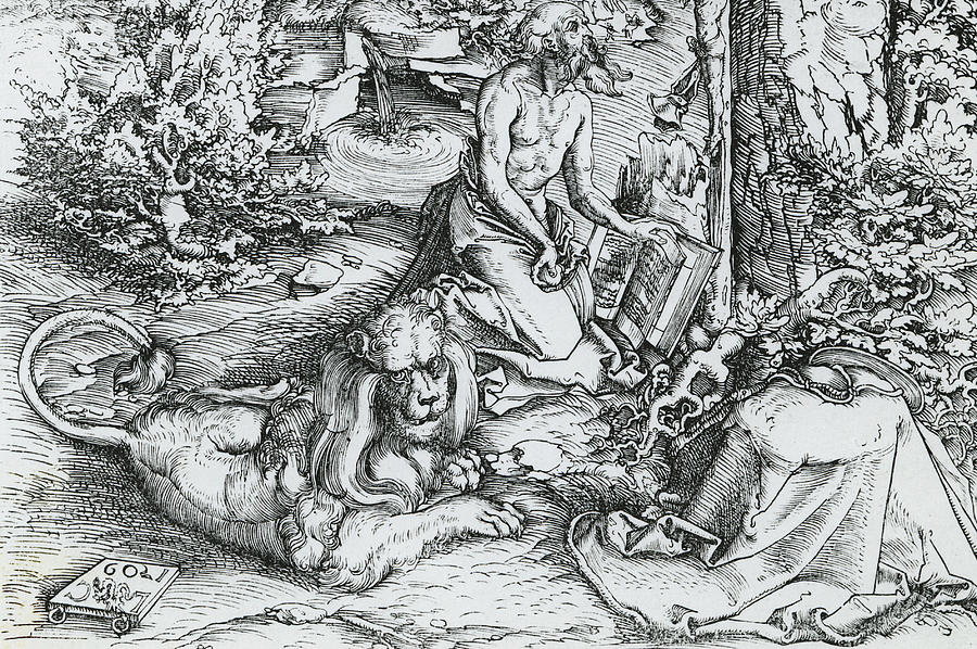 Lion Drawing - The Penitence of Saint Jerome by Lucas the elder Cranach