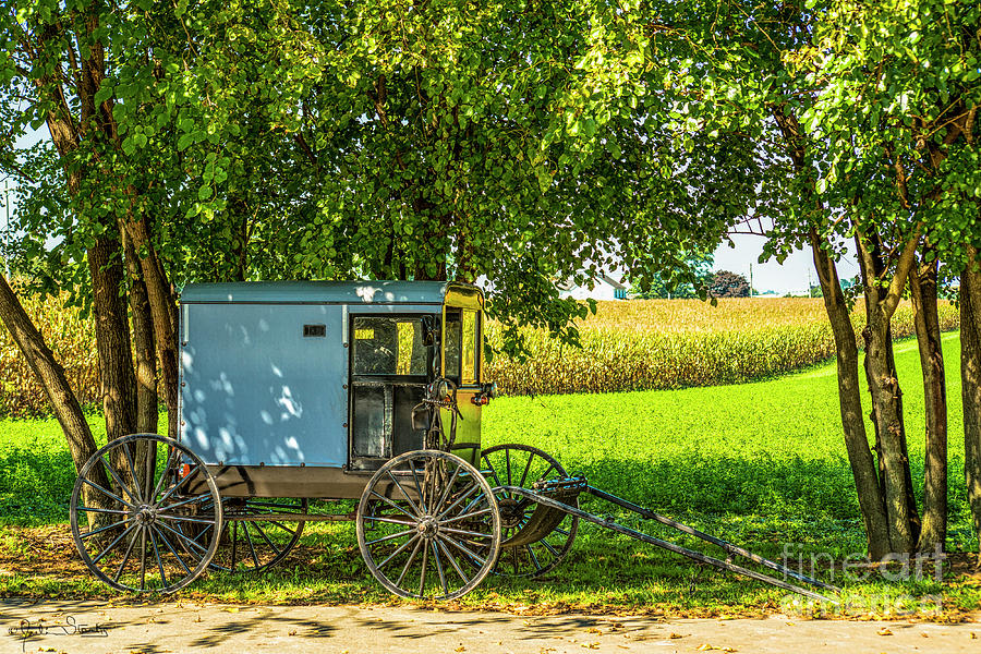 The Pennsylvania Amish Photograph