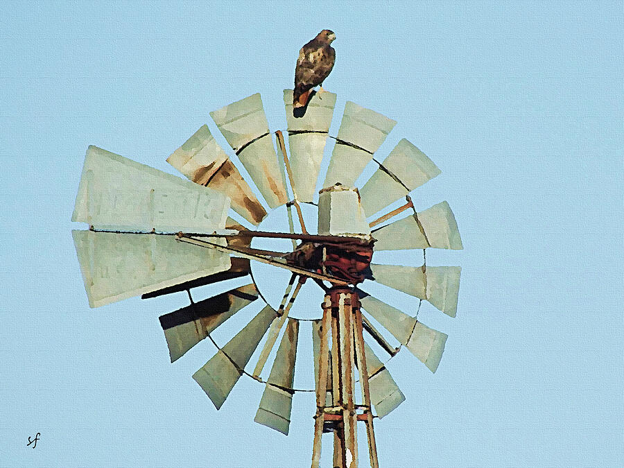 The Perch, Red Tailed Hawk on a Windmill Digital Art by Shelli Fitzpatrick
