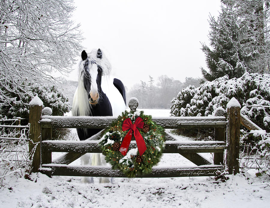 Horse Photograph - The Perfect Christmas by Terry Kirkland Cook