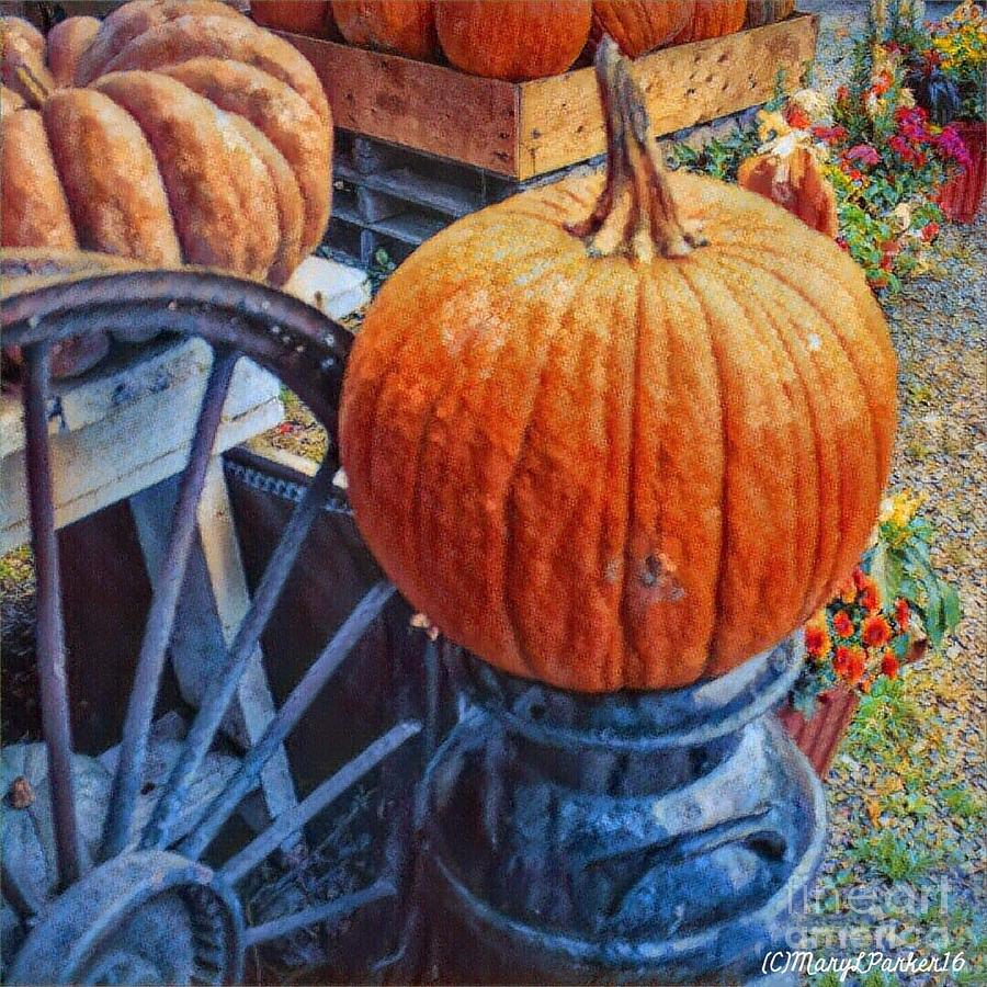 The  Perfect  Pumpkin Digital Art by MaryLee Parker