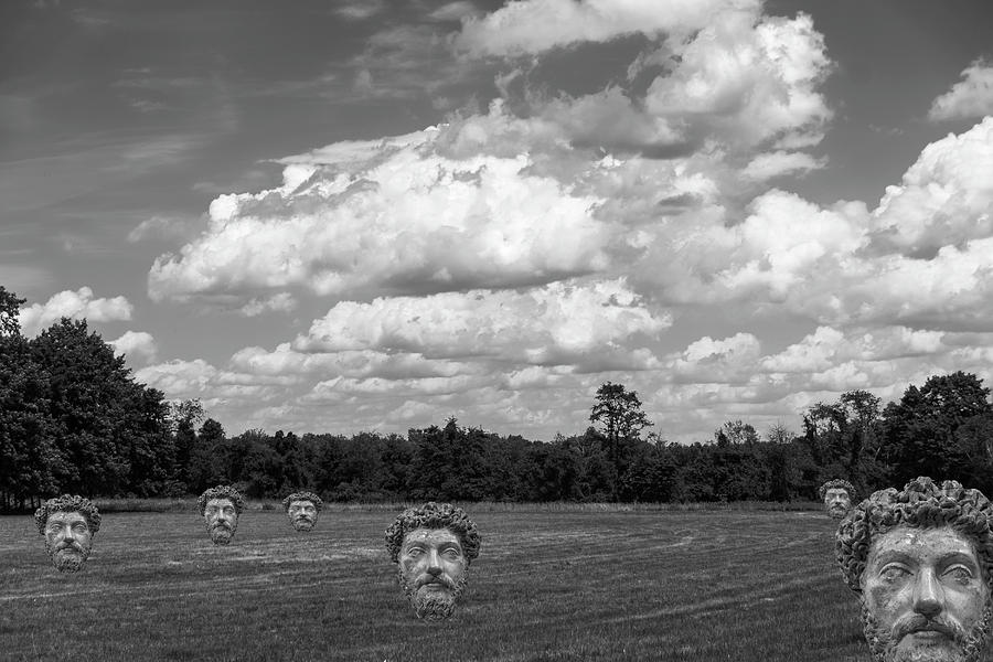 The Philosopher Baled Photograph by Steven Richman