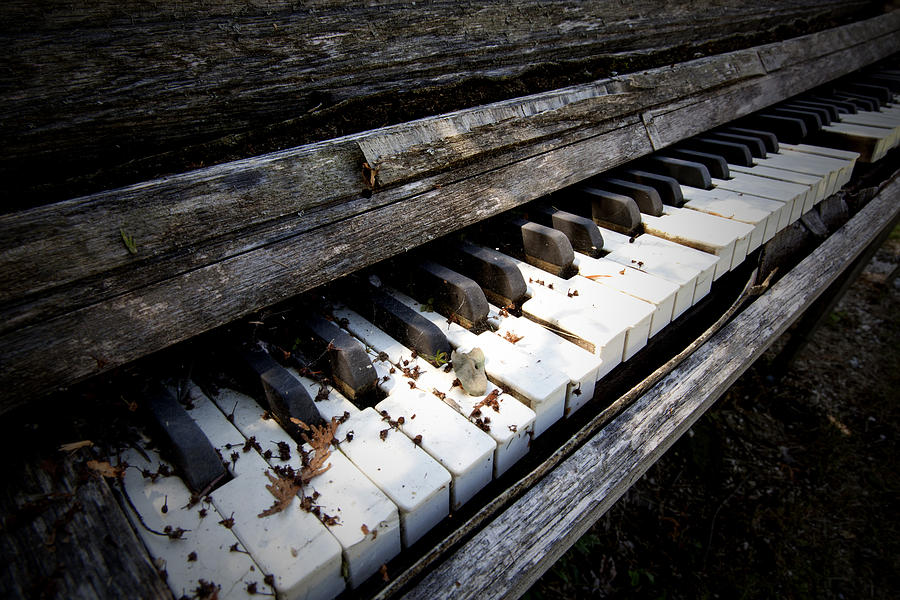 The Piano Photograph by CA  Johnson