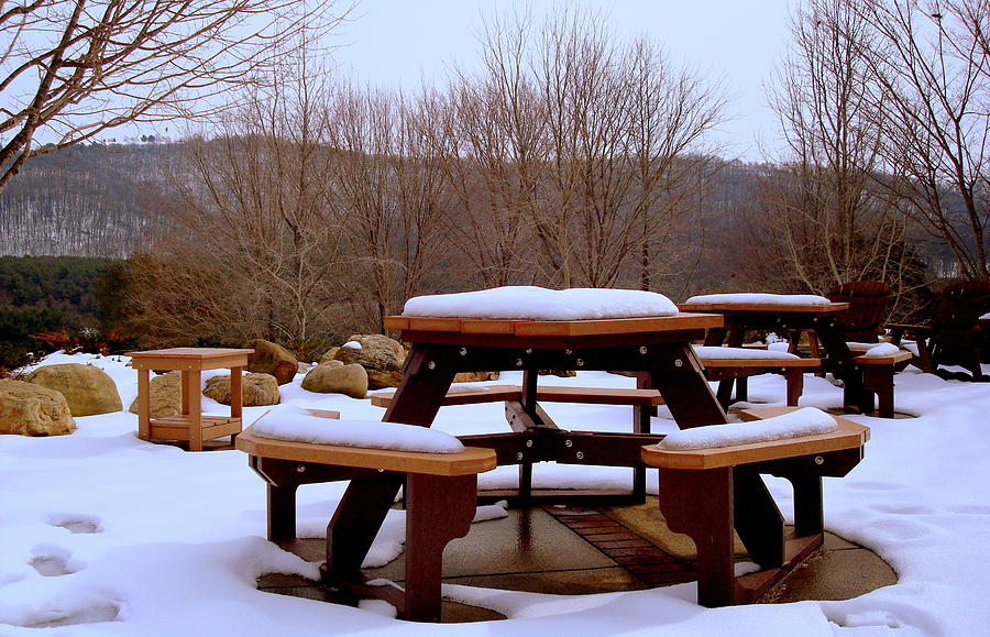 Winter Photograph - The Picnic is Cancelled by Arlane Crump