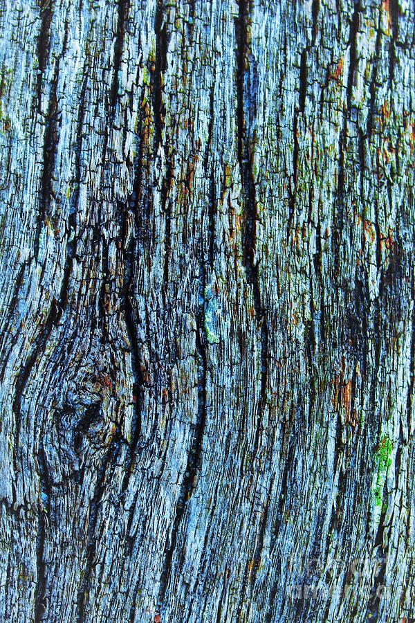 The Picnic Table Mosaic Photograph by Julie Avellino - Fine Art America