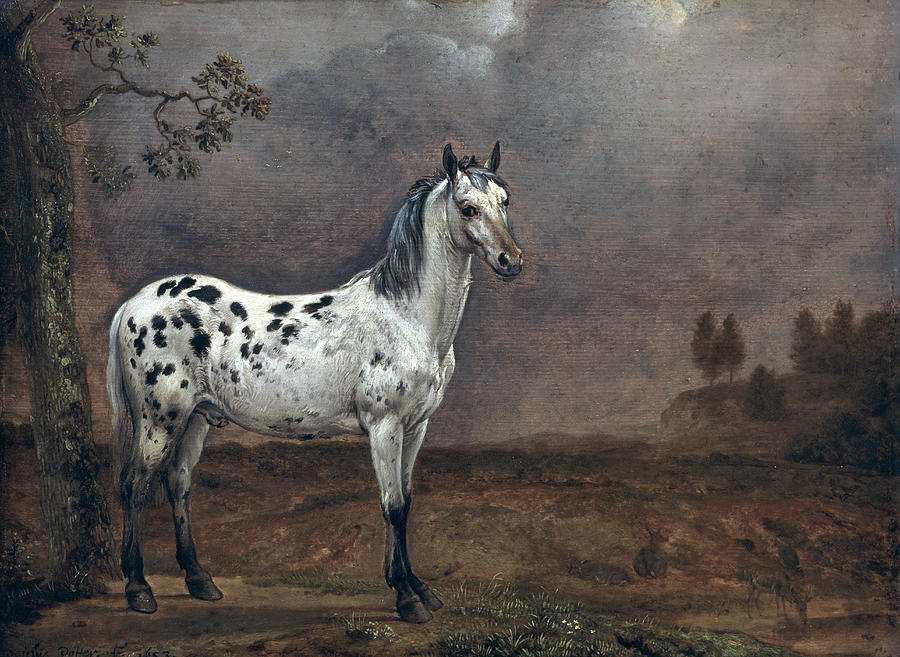 Horse Painting - The Piebald Horse by Paulus Potter
