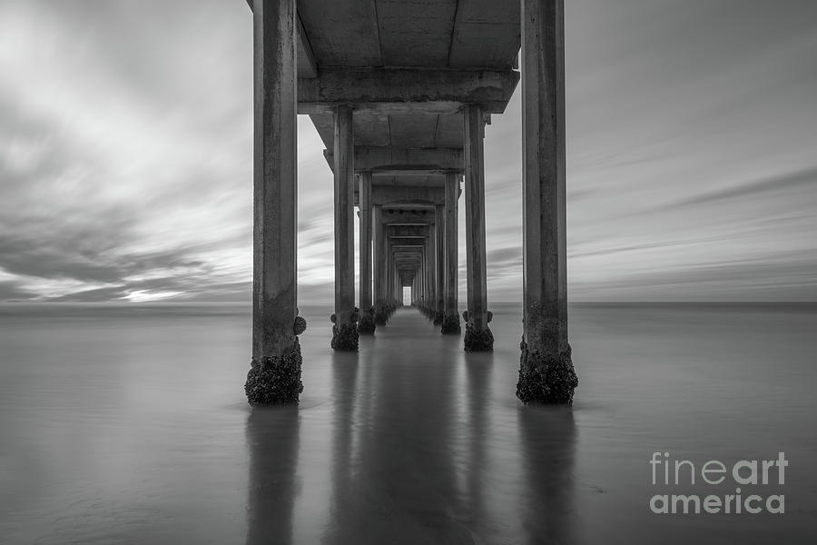 The Pier  BW Photograph by Michael Ver Sprill