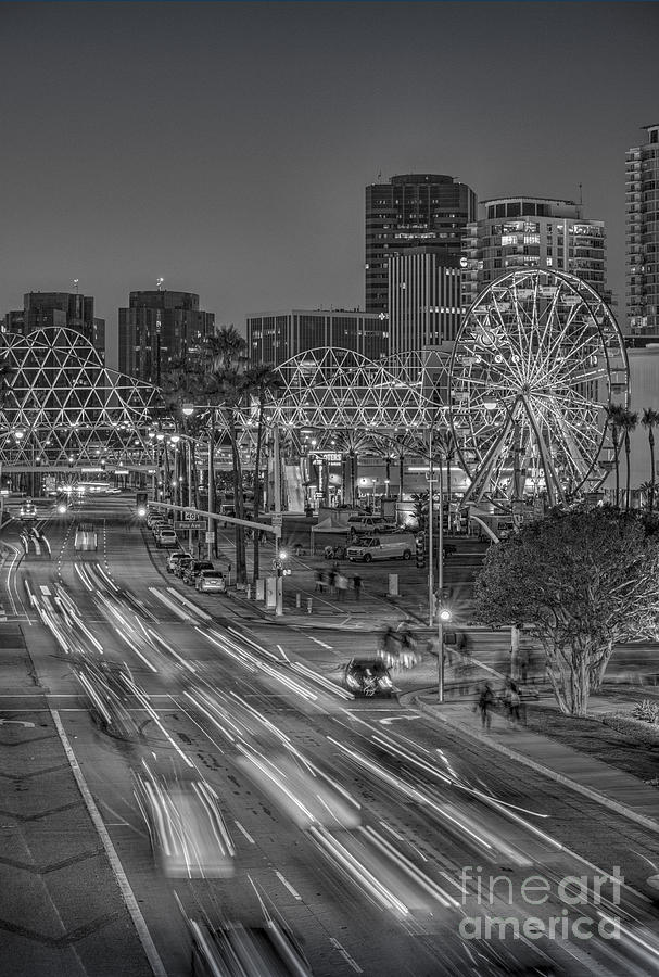The Pike Long Beach BW Vertical Photograph by David Zanzinger