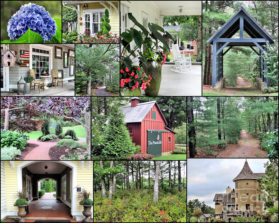 The Pinehills Collage  Photograph by Janice Drew
