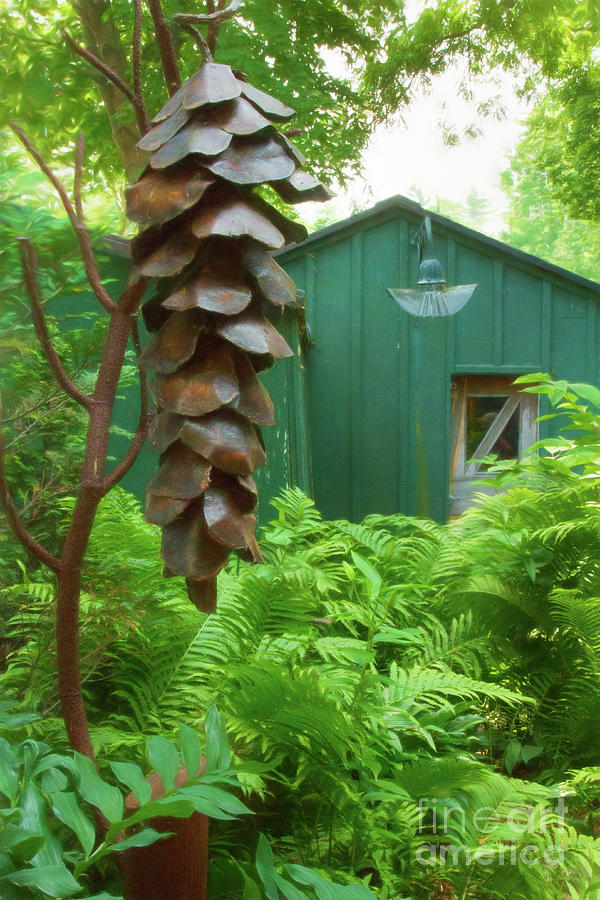 The Pinecone and the Tool Shed Photograph by Marilyn Cornwell