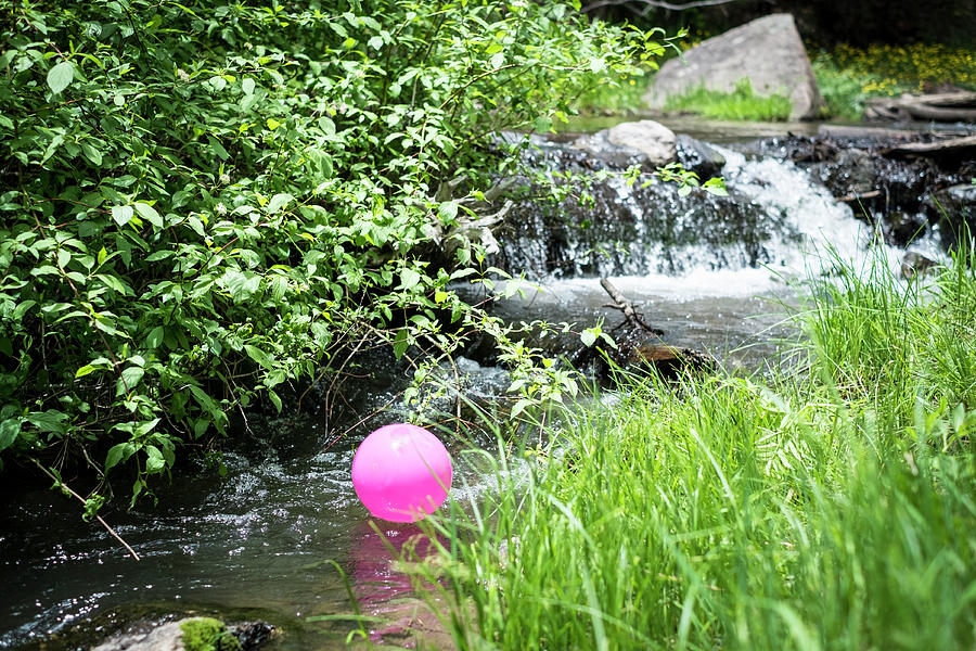 The Pink Balloon Photograph by Mary Lee Dereske
