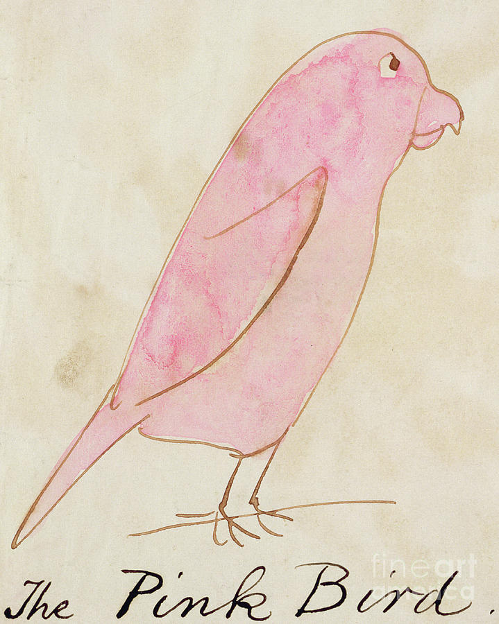 The Pink Bird Painting by Edward Lear