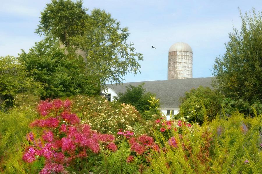 The Pink Floral Silo Photograph by Diana Angstadt