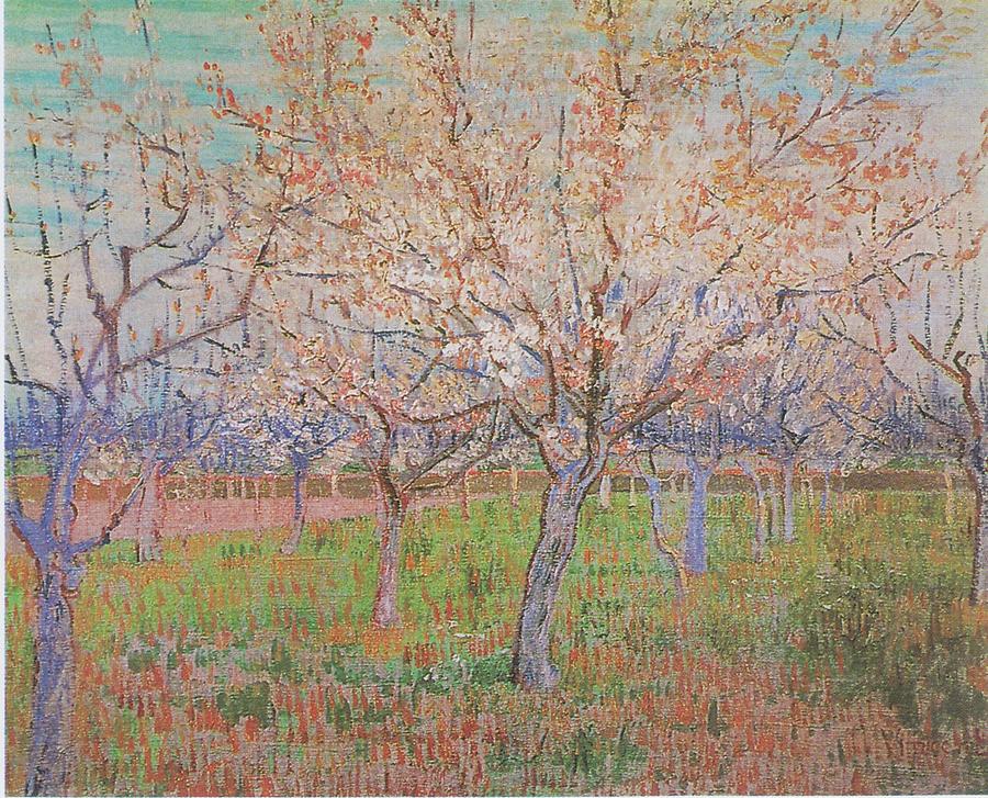 The Pink Orchard Orchard With Blossoming Apricot Trees March 1888 ...