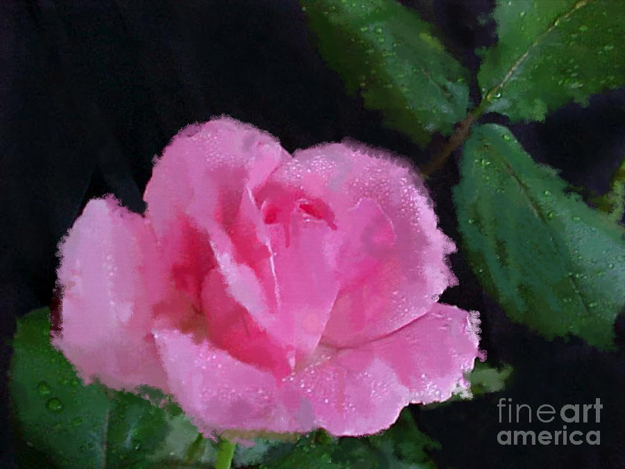 The Pink Rose Photograph by Betty LaRue