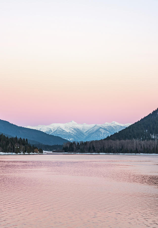 The Pink Sky of Winter Photograph by Joy McAdams