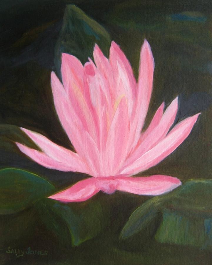 The Pink Water Lily Painting by Sally Jones - Pixels