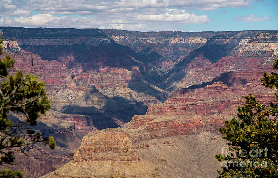 The Pinks of the Canyon Photograph by Stephen Whalen