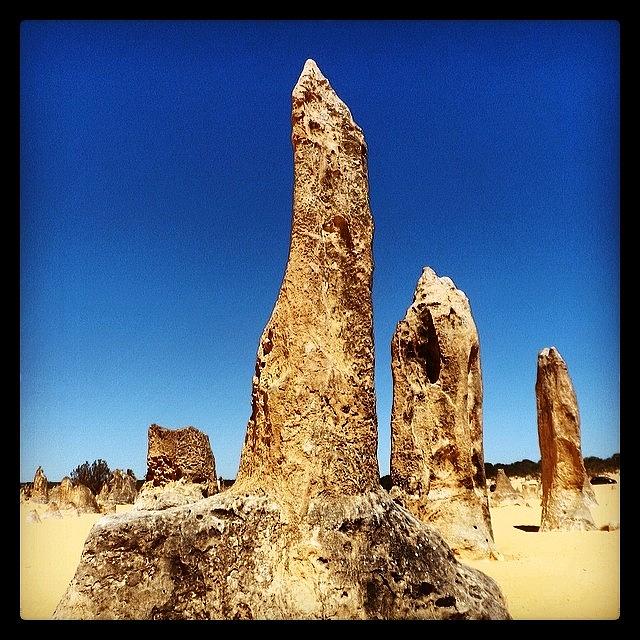 The Pinnacles! Thousands Of Limestone Photograph by Samantha Dudley