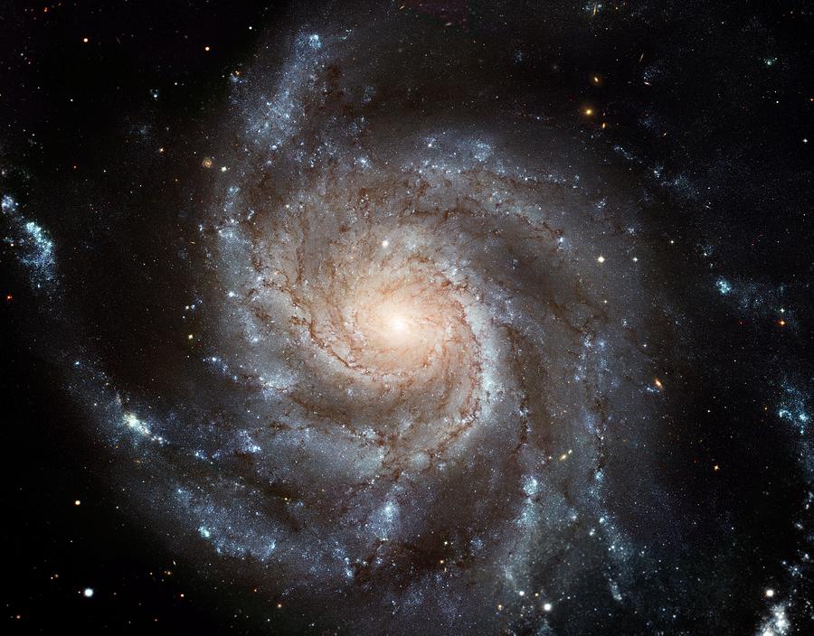 The Pinwheel Galaxy  Painting by Hubble Space Telescope