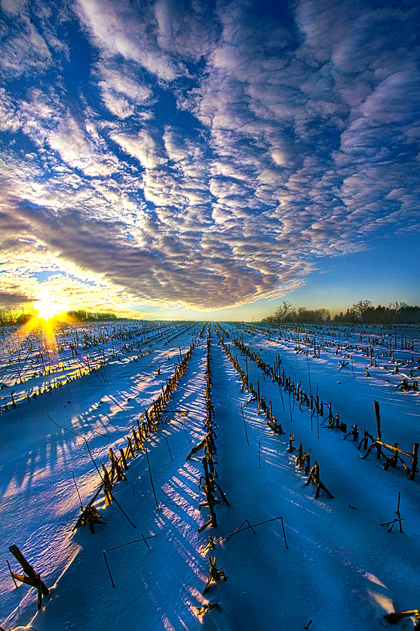 Winter Photograph - The Places Where Ive Been by Phil Koch