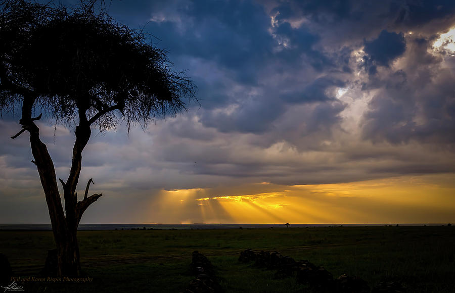 Animal Photograph - The Plains of Africa by Phil And Karen Rispin