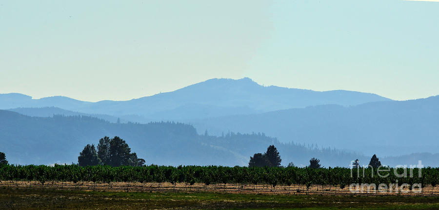 The Plains of Oregon Photograph by Scott Cameron