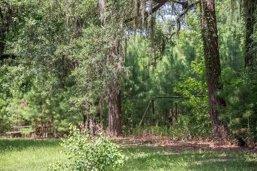 The Playground by Lindy Grasser The Playground by Lindy Grasser