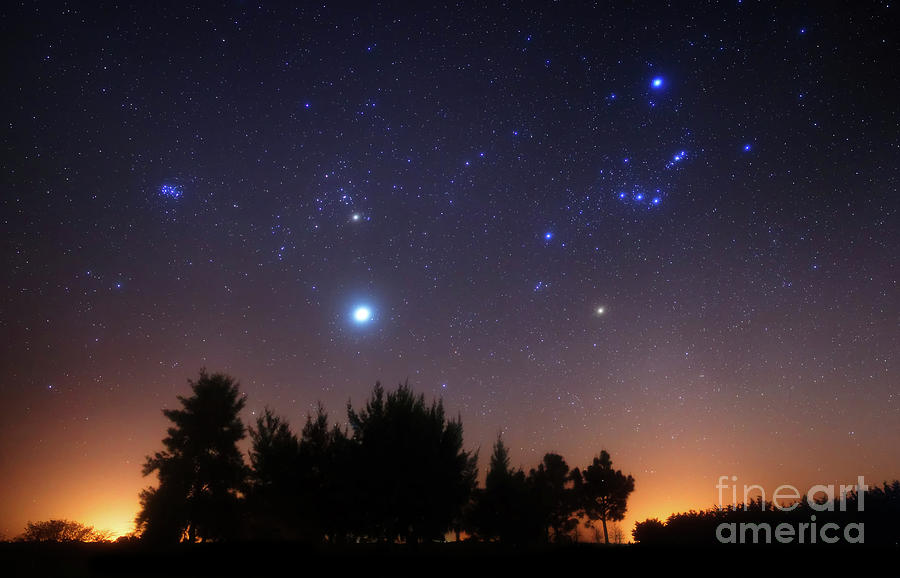 Space Photograph - The Pleiades, Taurus And Orion by Luis Argerich