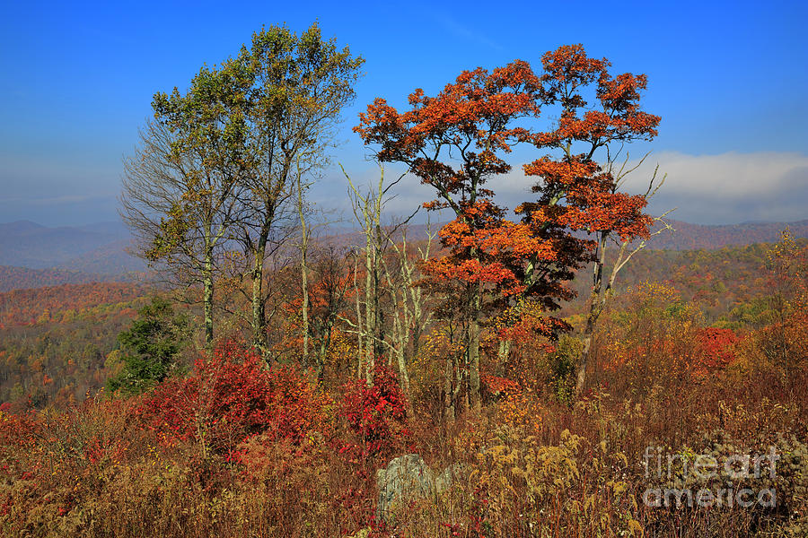 The Point Overlook Skyline Drive Shenandoah National Park Photograph by Louise Heusinkveld