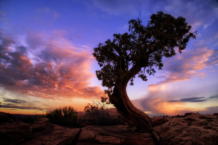 Moab Photograph - The Point, Utah by Vincent James