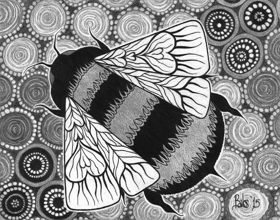 Black And White Drawing - The Pollinator by Barb Cote