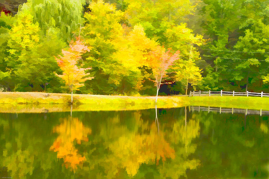 The Pond at Alpine Digital Art by Ches Black