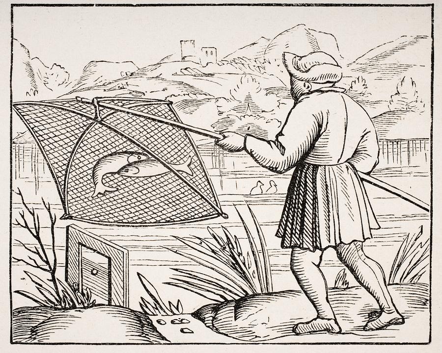 Fish Drawing - The Pond Fisherman. 19th Century Copy by Vintage Design Pics